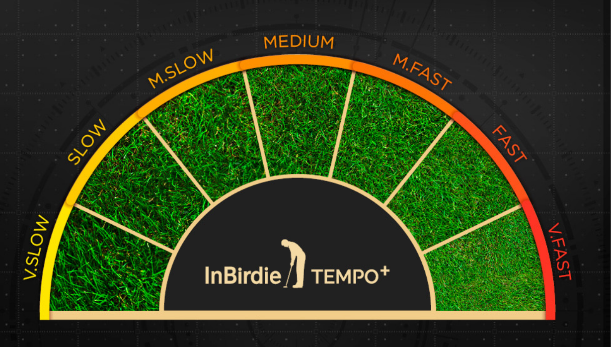 INBIRDIE TEMPO PLUS_img1